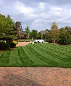 Brighter Blooms Lesco All Pro Transition Blend Grass Seed Erosion Control Plants 5 Brighter Blooms Lesco All Pro Transition Blend Grass Seed Erosion Control Plants