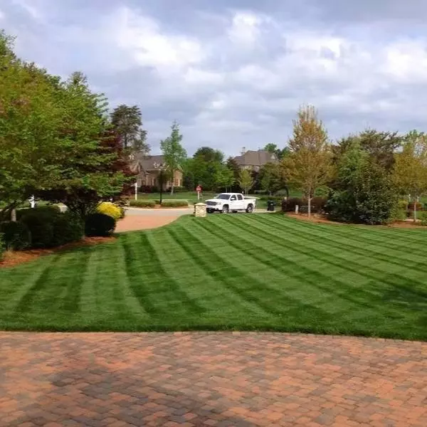 Brighter Blooms Lesco All Pro Transition Blend Grass Seed Erosion Control Plants 3 Brighter Blooms Lesco All Pro Transition Blend Grass Seed Erosion Control Plants