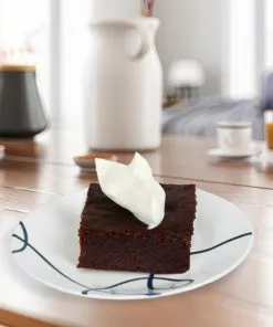 Brighter Blooms American Persimmon Tree 10 Brighter Blooms American Persimmon Tree