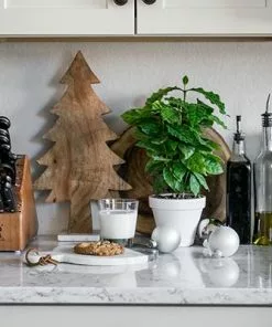 Brighter Blooms Fruit Trees Arabica Coffee Gift Plant