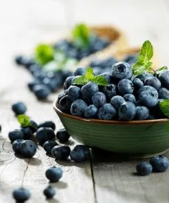 Brighter Blooms Aurora Blueberry Bush 8 Brighter Blooms Aurora Blueberry Bush