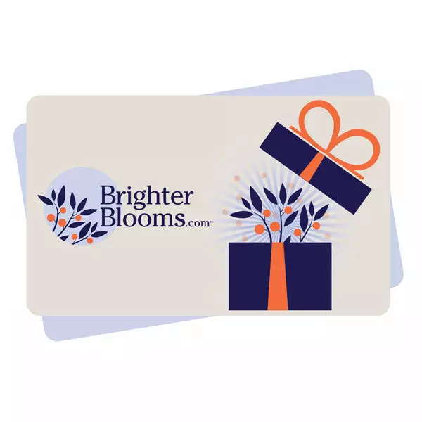 BrighterBlooms.com E-Gift Card 1 BrighterBlooms.com E-Gift Card