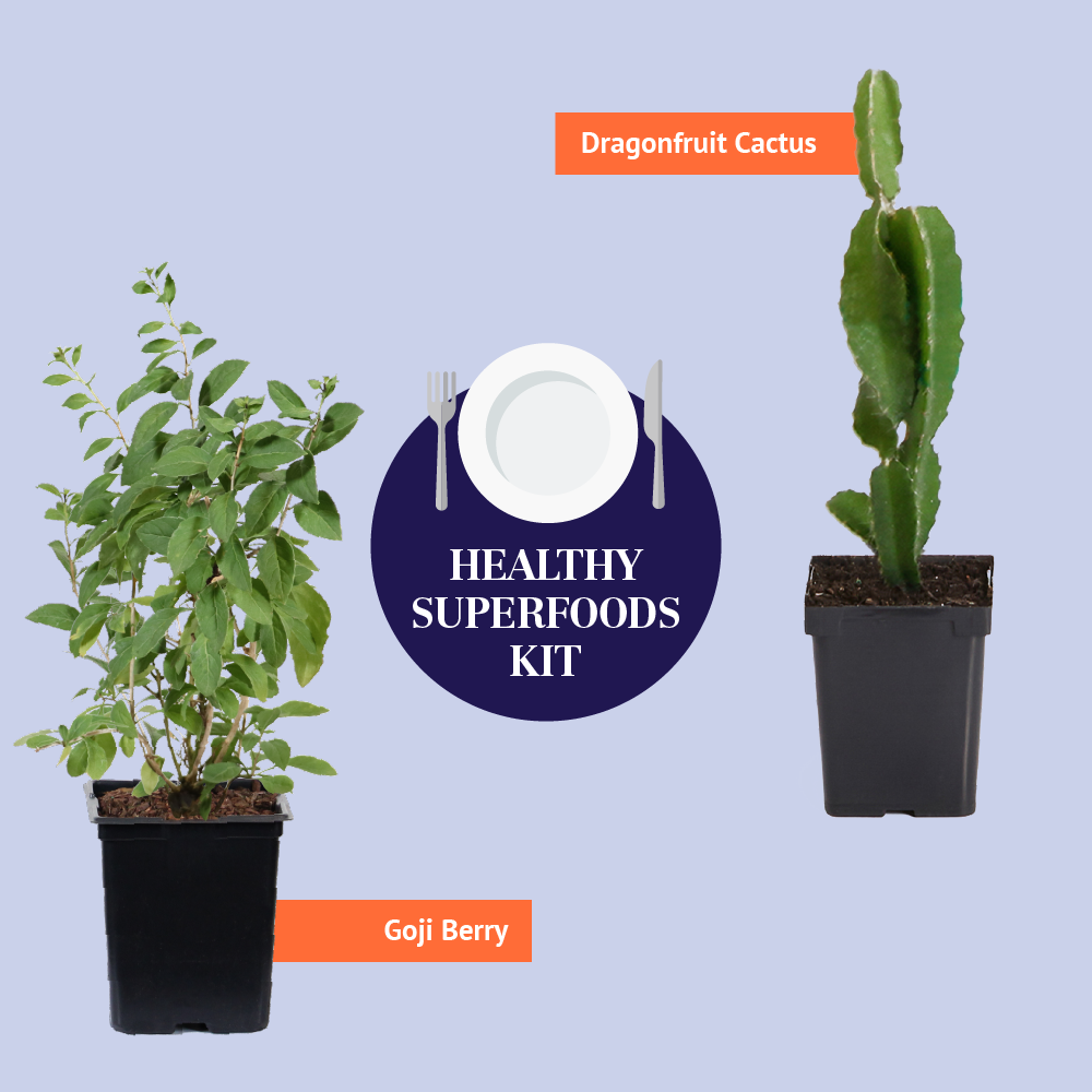 Brighter Blooms Fruit Trees Healthy Superfoods Kit 3 Brighter Blooms Fruit Trees Healthy Superfoods Kit