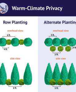Brighter Blooms Warm-Climate Privacy Kit Evergreen & Privacy