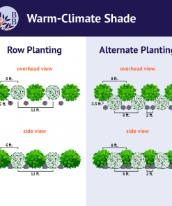 Brighter Blooms Warm-Climate Shade Garden Kit Shrubs & Hedges 8 Brighter Blooms Warm-Climate Shade Garden Kit Shrubs & Hedges
