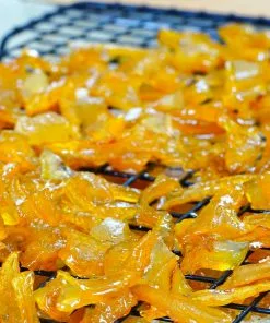 Brighter Blooms Buddha's Hand Citron Tree 11 Brighter Blooms Buddha's Hand Citron Tree