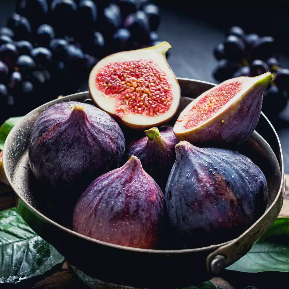 Brighter Blooms Black Mission Fig Tree 2 Brighter Blooms Black Mission Fig Tree