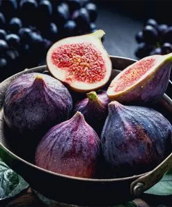 Brighter Blooms Black Mission Fig Tree