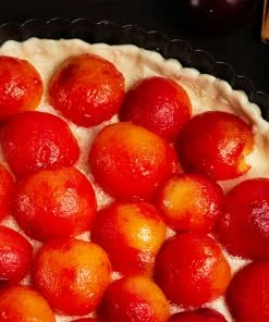 Brighter Blooms Bubblegum 'Toka' Plum Tree 9 Brighter Blooms Bubblegum 'Toka' Plum Tree