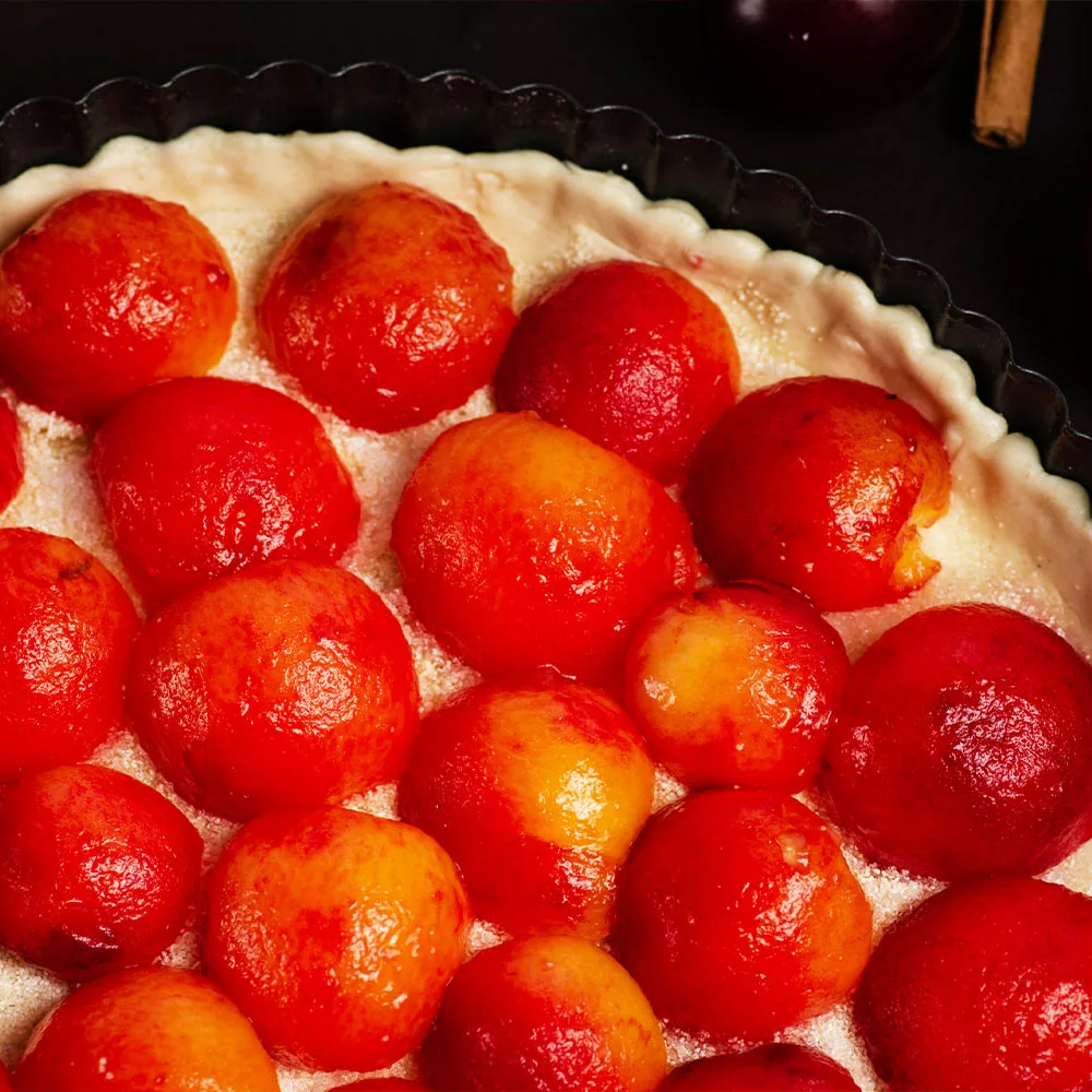 Brighter Blooms Bubblegum 'Toka' Plum Tree 5 Brighter Blooms Bubblegum 'Toka' Plum Tree