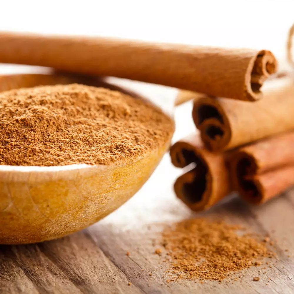 Brighter Blooms Fruit Trees Cinnamon Tree 6 Brighter Blooms Fruit Trees Cinnamon Tree