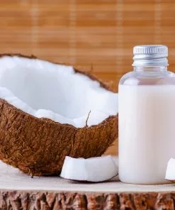 BrighterBlooms.com Palm Trees Coconut Palm Tree 11 BrighterBlooms.com Palm Trees Coconut Palm Tree