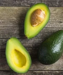 Brighter Blooms Cold Hardy Avocado Tree Fruit Trees 9 Brighter Blooms Cold Hardy Avocado Tree Fruit Trees