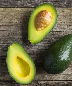 Brighter Blooms Cold Hardy Avocado Tree Fruit Trees