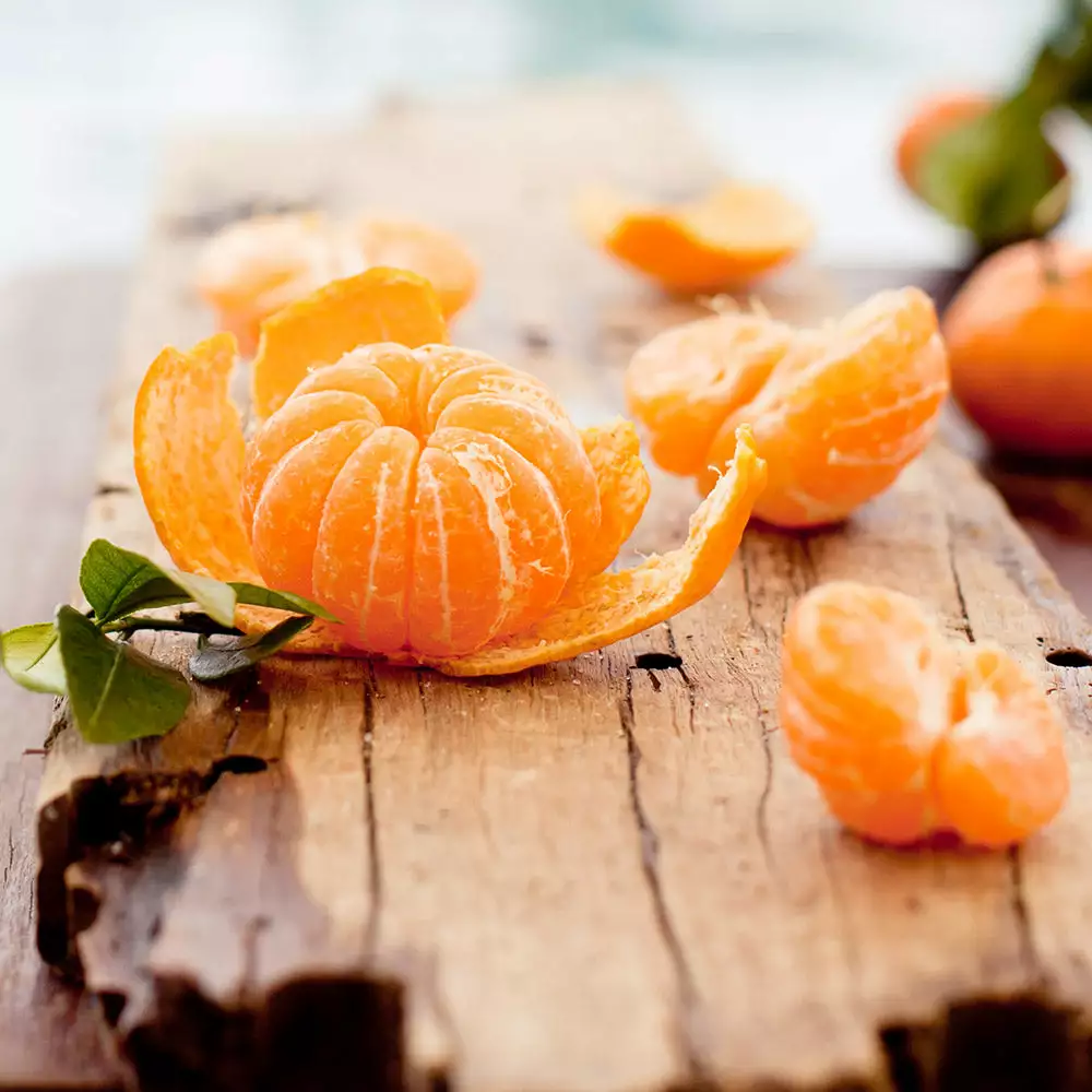 Brighter Blooms Fruit Trees EasyPeel Clementine Tree 2 Brighter Blooms Fruit Trees EasyPeel Clementine Tree