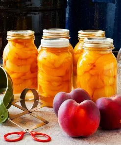 Brighter Blooms Elberta Peach Tree Fruit Trees 7 Brighter Blooms Elberta Peach Tree Fruit Trees