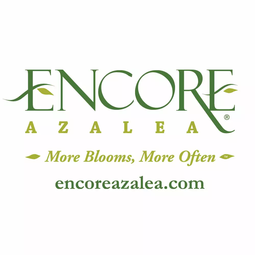 NO WARRANTY Autumn Embers™ Encore® Azalea SHOP ALL 6 NO WARRANTY Autumn Embers™ Encore® Azalea SHOP ALL