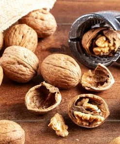 Brighter Blooms Fruit Trees Carpathian English Walnut Tree 9 Brighter Blooms Fruit Trees Carpathian English Walnut Tree