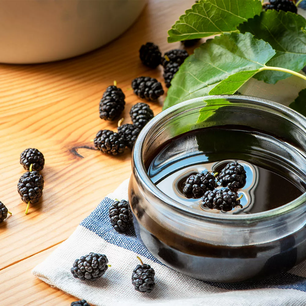 Brighter Blooms Everbearing Mulberry Tree Fruit Trees 4 Brighter Blooms Everbearing Mulberry Tree Fruit Trees