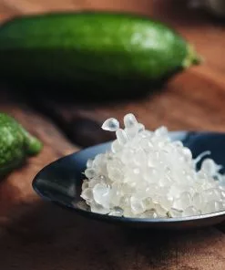 Brighter Blooms Citrus Trees Australian Finger Lime Tree