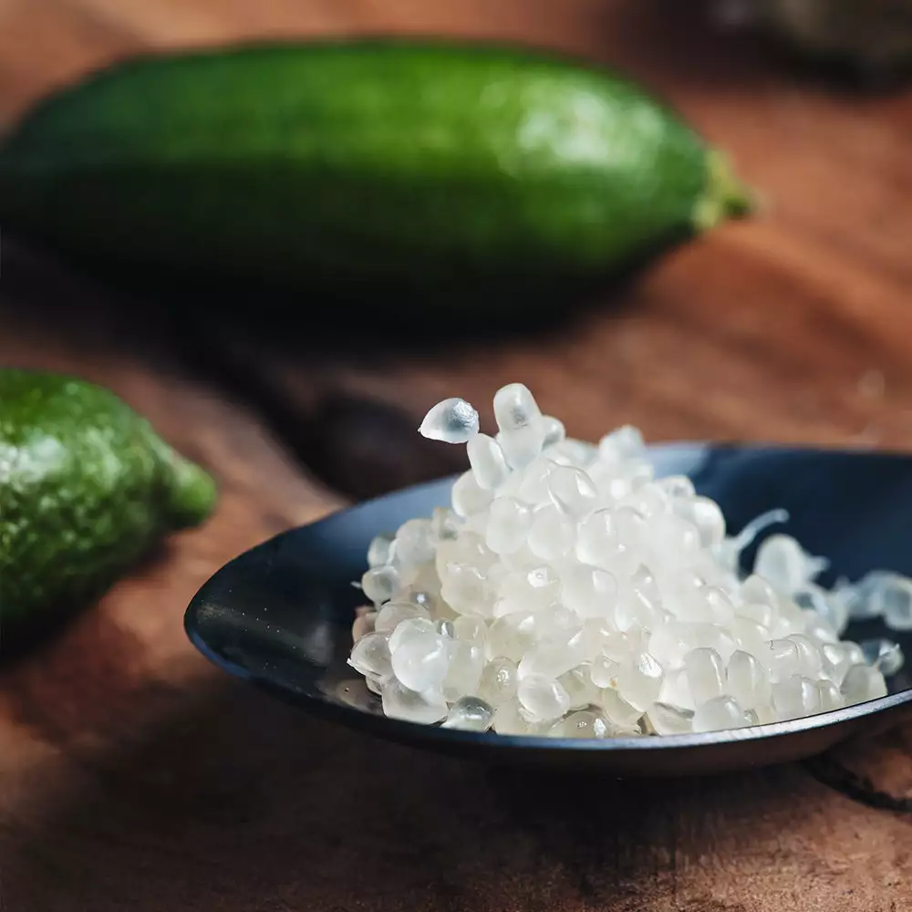 Brighter Blooms Citrus Trees Australian Finger Lime Tree 2 Brighter Blooms Citrus Trees Australian Finger Lime Tree