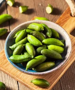 Brighter Blooms New Trees Australian Finger Lime Tree