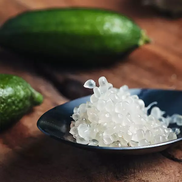 Brighter Blooms Citrus Trees Australian Finger Lime Tree 1 Brighter Blooms Citrus Trees Australian Finger Lime Tree