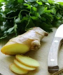 Brighter Blooms Ginger Plant 9 Brighter Blooms Ginger Plant