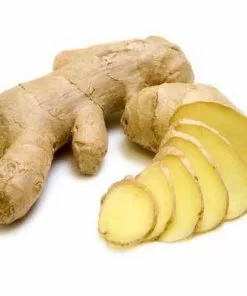 Brighter Blooms Ginger Plant