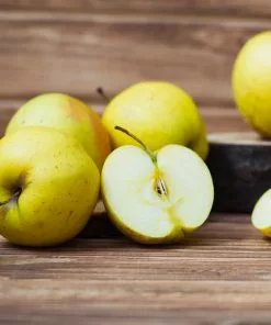 Brighter Blooms Golden Sentinel Columnar Apple Tree Fruit Trees 8 Brighter Blooms Golden Sentinel Columnar Apple Tree Fruit Trees