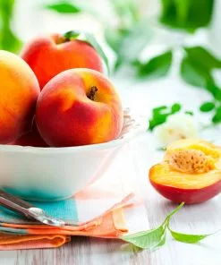 Brighter Blooms Fruit Trees Harvester Peach Tree 8 Brighter Blooms Fruit Trees Harvester Peach Tree