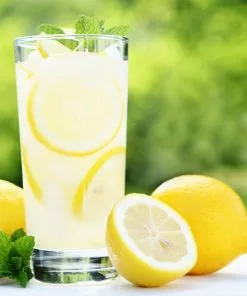 Brighter Blooms Harvey Lemon Tree 7 Brighter Blooms Harvey Lemon Tree