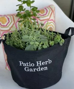 Brighter Blooms Patio Herb Garden House & Patio 6 Brighter Blooms Patio Herb Garden House & Patio