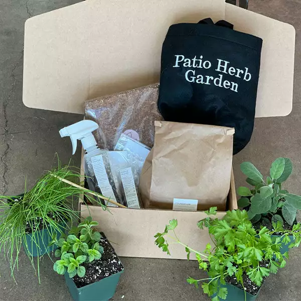 Brighter Blooms Patio Herb Garden House & Patio 1 Brighter Blooms Patio Herb Garden House & Patio