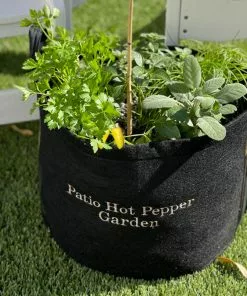 Brighter Blooms Patio Hot Pepper Garden House & Patio 6 Brighter Blooms Patio Hot Pepper Garden House & Patio