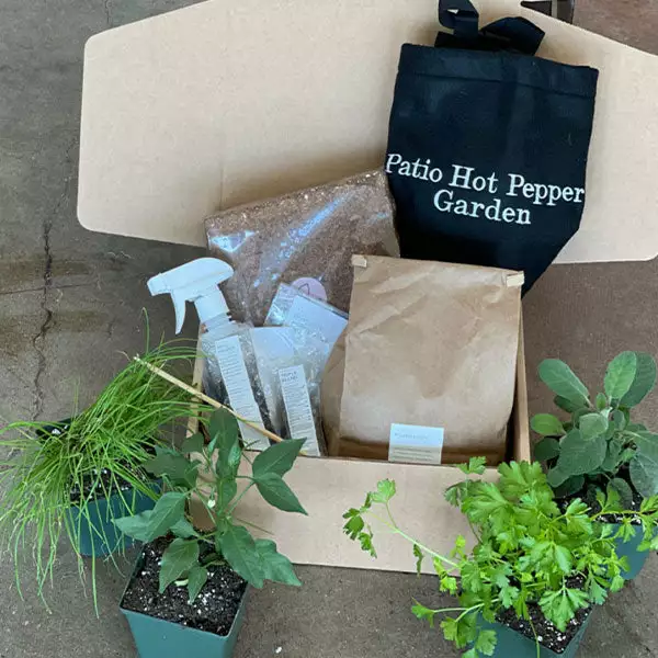 Brighter Blooms Patio Hot Pepper Garden House & Patio 1 Brighter Blooms Patio Hot Pepper Garden House & Patio