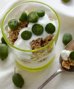 Brighter Blooms Fruit Trees Cold Hardy Kiwi (Issai Arctic Kiwi) Plant 11 Brighter Blooms Fruit Trees Cold Hardy Kiwi (Issai Arctic Kiwi) Plant