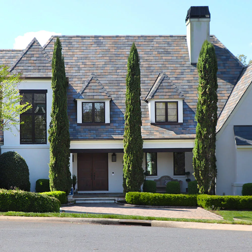 Brighter Blooms Italian Cypress Tree Evergreen & Privacy 2 Brighter Blooms Italian Cypress Tree Evergreen & Privacy