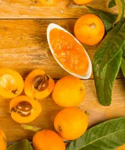 Brighter Blooms Loquat Tree Fruit Trees 9 Brighter Blooms Loquat Tree Fruit Trees