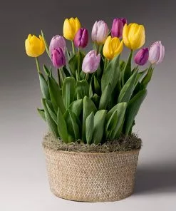 Brighter Blooms Love Note Tulip Trio