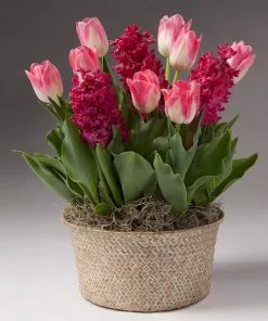 Brighter Blooms Gifts For Her Valentine’s Day Garden With Seagrass Pot