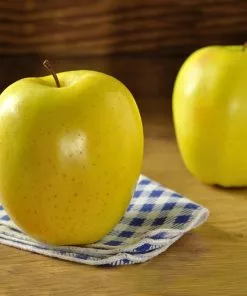 Brighter Blooms Apples Trees Mutsu Apple Tree