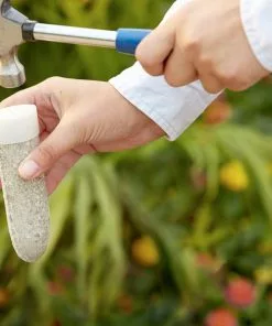 Brighter Blooms MiracleGro - Fruit & Citrus Spikes Fertilizers & Soil Additives 5 Brighter Blooms MiracleGro - Fruit & Citrus Spikes Fertilizers & Soil Additives