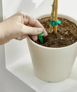 Brighter Blooms Fertilizers & Soil Additives MiracleGro - Houseplant Spikes 12 Brighter Blooms Fertilizers & Soil Additives MiracleGro - Houseplant Spikes