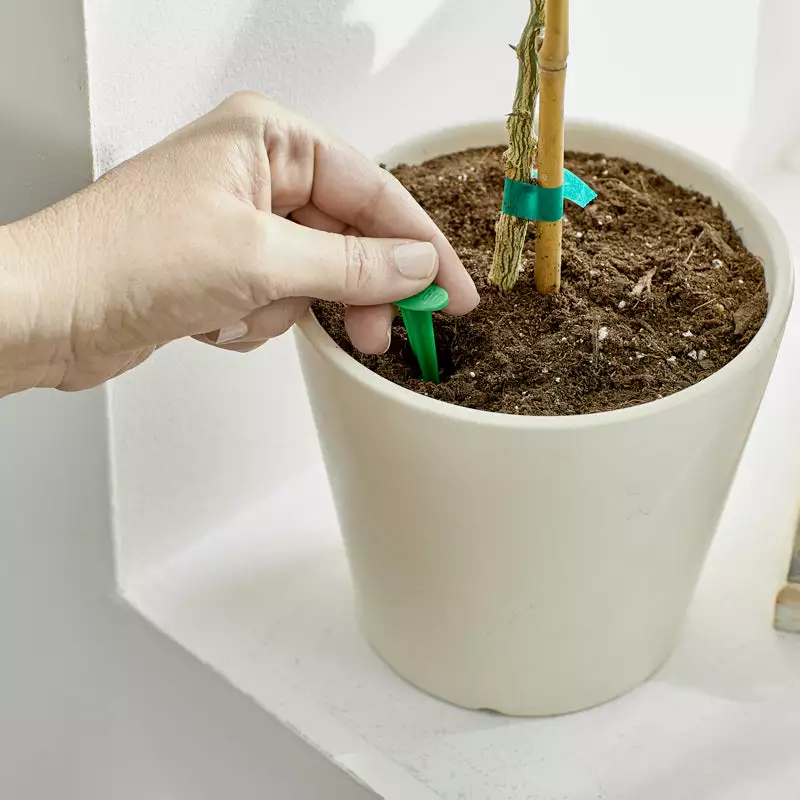 Brighter Blooms Fertilizers & Soil Additives MiracleGro - Houseplant Spikes 4 Brighter Blooms Fertilizers & Soil Additives MiracleGro - Houseplant Spikes