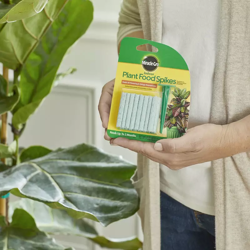 Brighter Blooms Fertilizers & Soil Additives MiracleGro - Houseplant Spikes 5 Brighter Blooms Fertilizers & Soil Additives MiracleGro - Houseplant Spikes