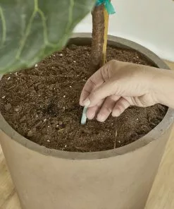 Brighter Blooms Fertilizers & Soil Additives MiracleGro - Houseplant Spikes 15 Brighter Blooms Fertilizers & Soil Additives MiracleGro - Houseplant Spikes