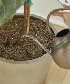 Brighter Blooms Fertilizers & Soil Additives MiracleGro - Houseplant Spikes 16 Brighter Blooms Fertilizers & Soil Additives MiracleGro - Houseplant Spikes