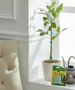 Brighter Blooms Fertilizers & Soil Additives MiracleGro - Houseplant Spikes 17 Brighter Blooms Fertilizers & Soil Additives MiracleGro - Houseplant Spikes