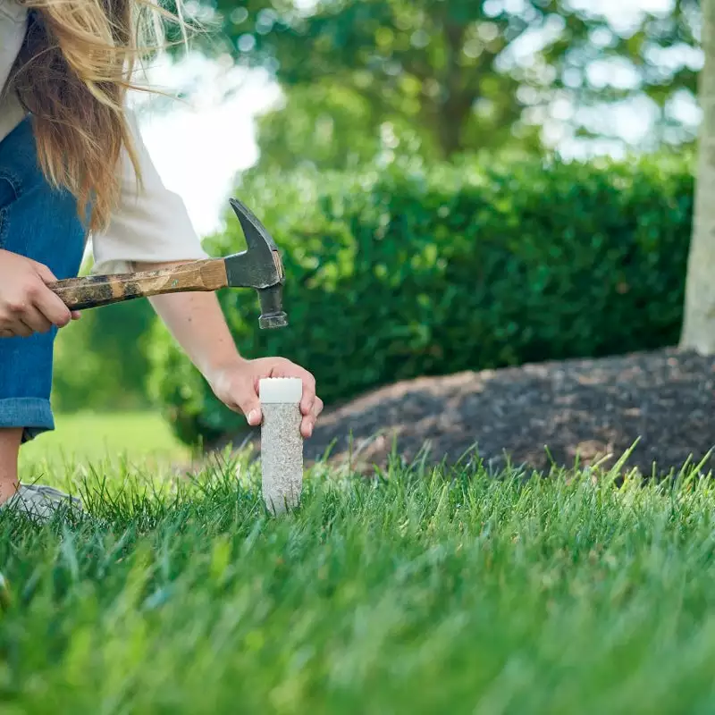 Brighter Blooms Fertilizers & Soil Additives MiracleGro - Tree & Shrub Spikes 3 Brighter Blooms Fertilizers & Soil Additives MiracleGro - Tree & Shrub Spikes